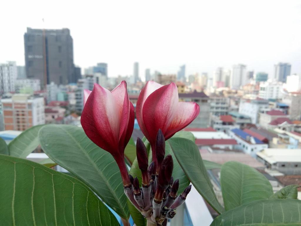 V ブティック ホテル Bkk プノンペン エクステリア 写真